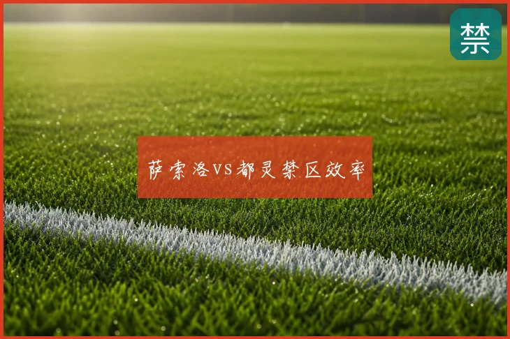 萨索洛vs都灵禁区效率