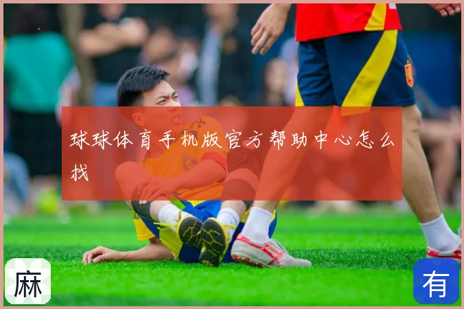 球球体育手机版官方帮助中心怎么找